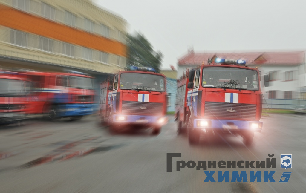 Изображение 6016789.jpg